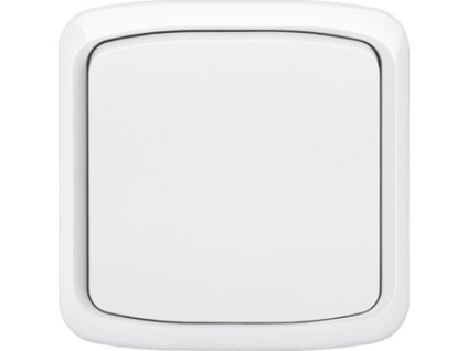 106136 ta bila spinac