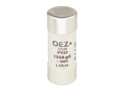 POJISTKA PV22 100A GG OEZ