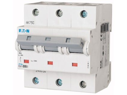 Jistič PLHT- C80/3