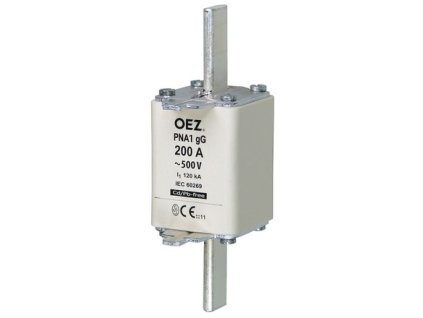 POJISTKA PNA1 224A gG OEZ:40441