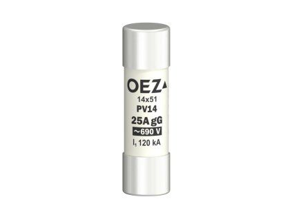 OEZ06730