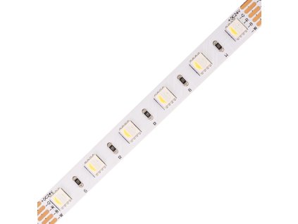 24V RGBW4v1-CW 19,2W vnitřní LED pásek záruka 3 roky (Varianta 24V RGBW4v1-CW 19,2W vnitřní LED pásek záruka 3 roky)