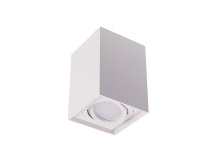 Přisazené svítidlo GORD XS DLP-50-W bílé (Varianta Přisazené svítidlo GORD XS DLP-50-W bílé)