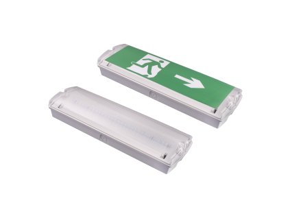 LED nouzové svítidlo EML3W (Varianta Studená bílá)