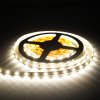 LED pásek vnitřní SQ3-300 4,8W 12V záruka 3 roky