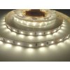LED pásek 24OS5Y6012 vnitřní záruka 5 let, denní bílá  079262