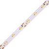 LED pásek 5m 4,8W L3-300 ECONOMY (Varianta Studená bílá)