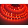 24V RGBW4v1-CW 19,2W vnitřní LED pásek záruka 3 roky