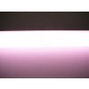 LED TRUBICE potravinářská HBN60 60cm 8W