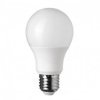 Ziarovka LED E27 10W CW ELWATT
