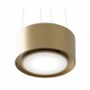 0107416 odsavac ostruvkovy piu light 80 gold cdw8002z