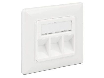 Delock Keystone Wall Outlet 3 Port compact