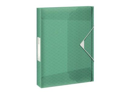 Esselte box na spisy Colour'Ice, zelený