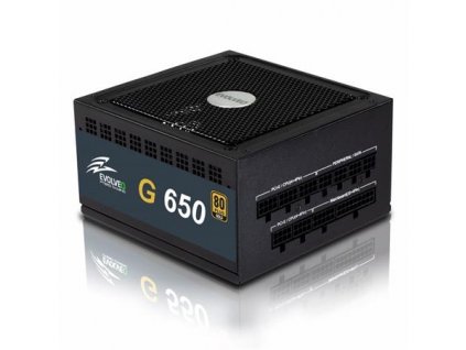 EVOLVEO G650 zdroj 650W, eff 90%, 80+ GOLD, aPFC, modulární, retail