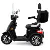 35116 E Trike25V.2 Premium Schwarz 006