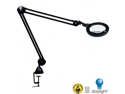 DAYLIGHT COMPANY E25151a