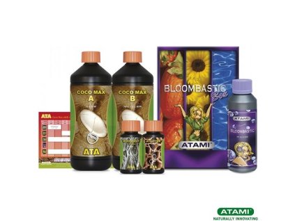ATA Coco Max Bloombastic 1 Box
