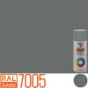 PRISMA COLOR RAL 7005