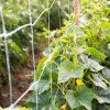 rewrite 2238603 2212932.1