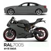 RAL 7005