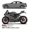 RAL 9007