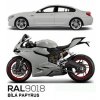 RAL 9018