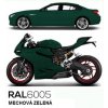 RAL 6005