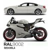 RAL 9002