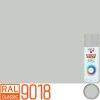 PRISMA COLOR RAL 9018