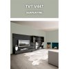 TVT V447