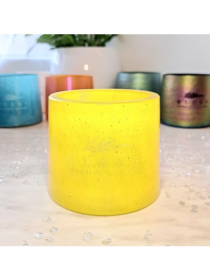 ARTEMIS s vůní PODZIMNÍ KOŘENÍ , vonná svíčka 270 g