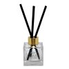 Difuzér ICE QUEEN 100 ml - vyberte si VŮNI