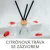 Difuzér FROSTY 100 ml + Citrónová tráva se zázvorem