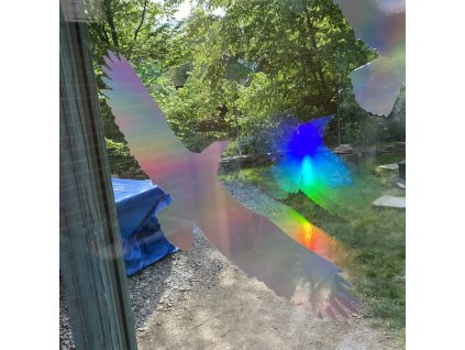 Silueta dravce z holografické fólie Fantasy rainbow, proti narážení ptáků do skla (Varianty Silueta dravce z holografické folie Fantasy rainbow (65 x 150 mm tl.0,065 mm) - kód: 24607)