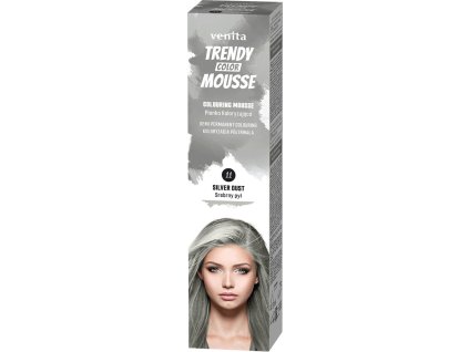 trendy barevne tuzidlo 11 stribrny prach 75 ml