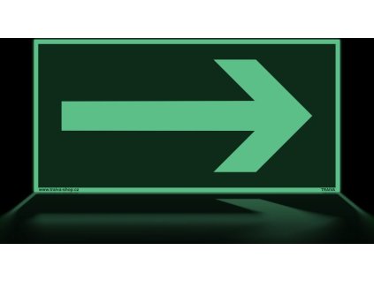 Směr k východu (Verze Plast 200 x 100 mm tl. 1.1 mm - fotoluminiscenční - Kód: 00575)