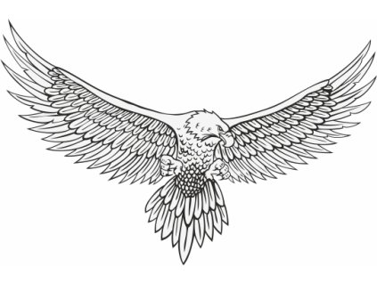 Silueta orla v letu, proti narážení ptáků do oken - černobílá (Verze Samolepka 297 x 210 mm (A4) tl. 0.1 mm - Kód: 08759)
