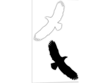 Silueta dravce, proti narážení ptáků do oken - bílá, černá (Verze Samolepka 65 x 150 mm tl. 0.1 mm - bílá - Kód: 08760)