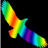 Silueta dravce z holografické fólie Fantasy rainbow, proti narážení ptáků do skla (Varianty Silueta dravce z holografické folie Fantasy rainbow (65 x 150 mm tl.0,065 mm) - kód: 24607)