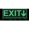 EXIT - nápis se šipkou (Verze Plast 200 x 75 mm tl. 1.1 mm - fotoluminiscenční - Kód: 00086)