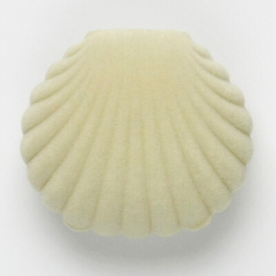 JK box JK dárková krabička Mušle GD-7/A20