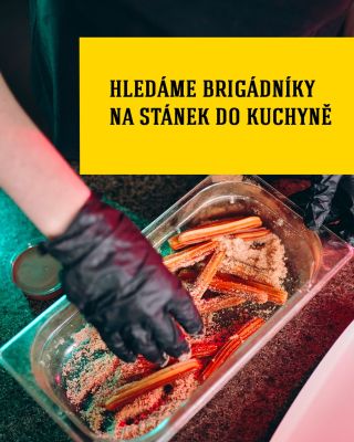 🍻 Hledáme brigádníky do kuchyně či na stánek do kuchyně – Volt na léto 2026 🍻 Do našeho týmu hledáme plnoleté brigádníky...