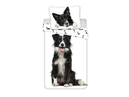 3D povlečení BORDER COLLIE bílé z bavlny pro milovníky psů