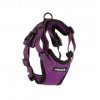 58383 1 fialovy postroj s voditkem pro psa brady