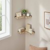 Praktická sada 2 rohových polic TAYLOR SONOMA, ideální pro dekorace, knihy a rostliny.