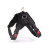 Bezpečnostní postroj ANGLY S pro psy – pevná konstrukce a odolné přezky