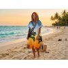 81443 3 plazove ponco palm beach barevne 80x145 cm