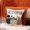 Stylový béžový povlak HELLO PUMPKIN 45x45 cm s nápisem
