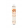 Dry Texture Finishing Spray 178ml EU DS