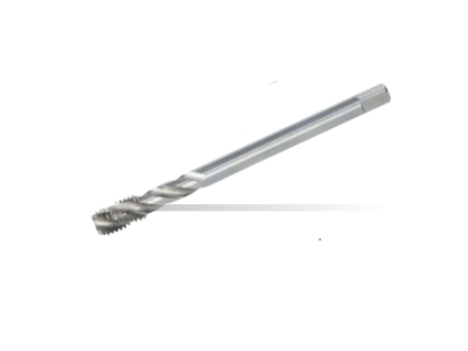 14657 77754 strzavunf 1 12x12 hss e